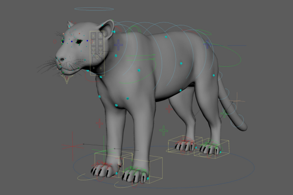 Rigging & Muscle Gen 1 Rigging & Muscle Gen 1